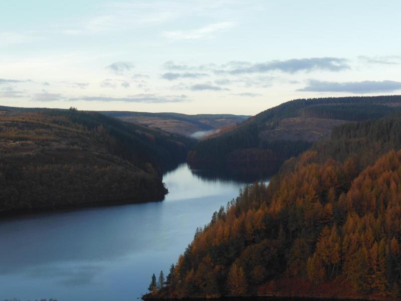 Pwllgwilym Holiday Cottages image
