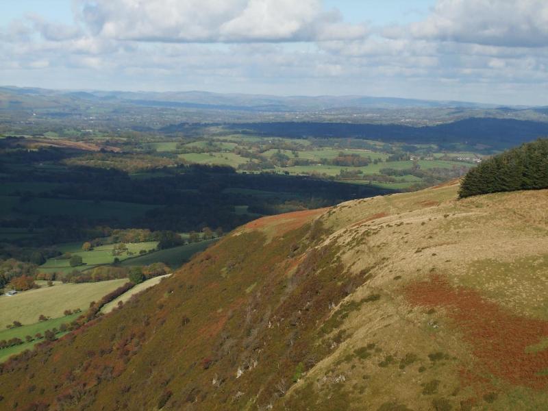 Pwllgwilym Holiday Cottages image