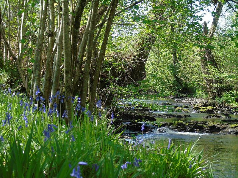 Pwllgwilym Holiday Cottages image