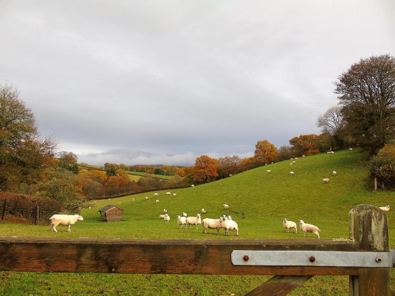 Pwllgwilym Holiday Cottages image