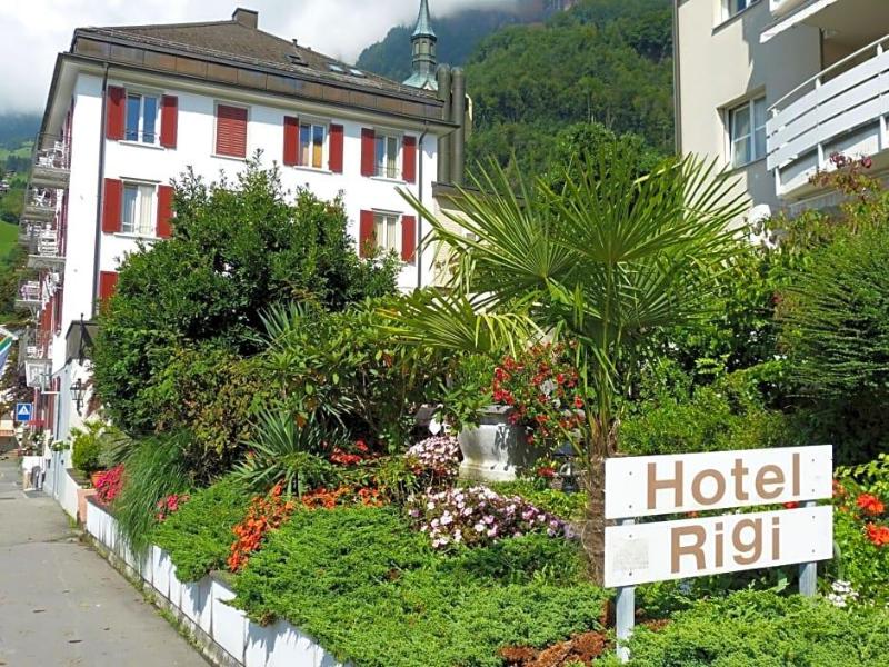 Rigi image