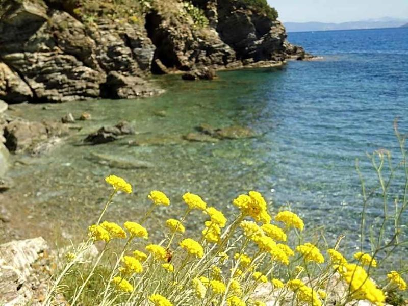 Rio sul Mare image