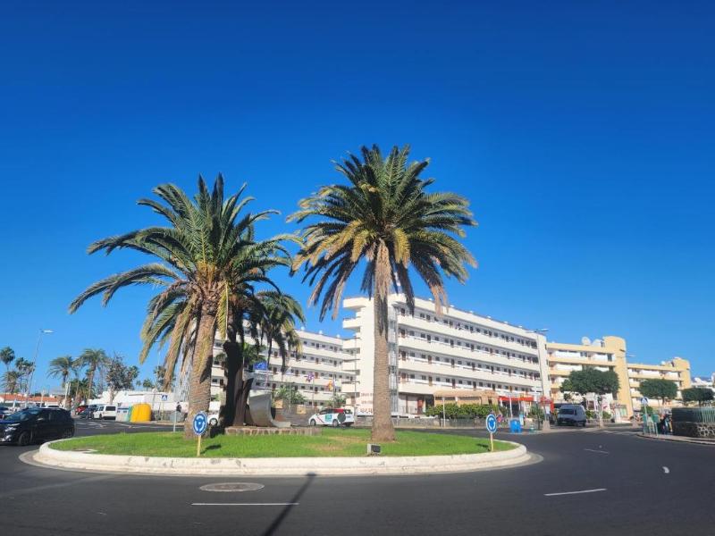 Las Camelias Apartments image