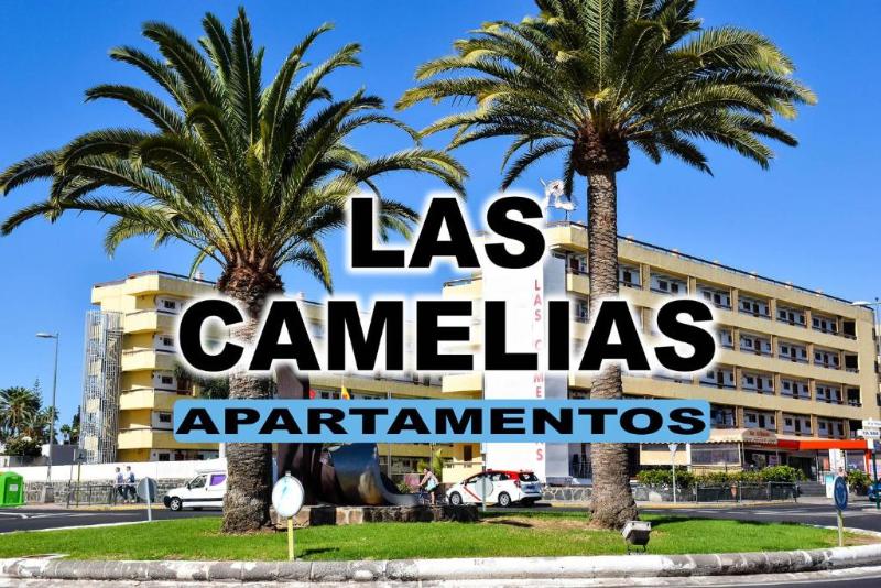 Las Camelias Apartments image