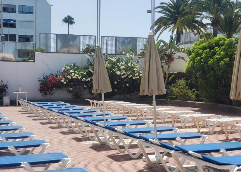 Las Camelias Apartments image