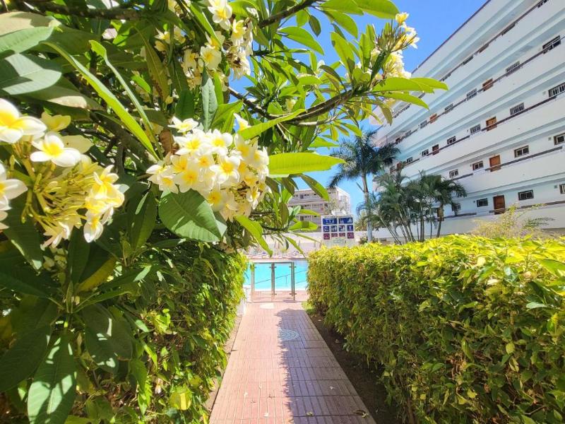 Las Camelias Apartments image