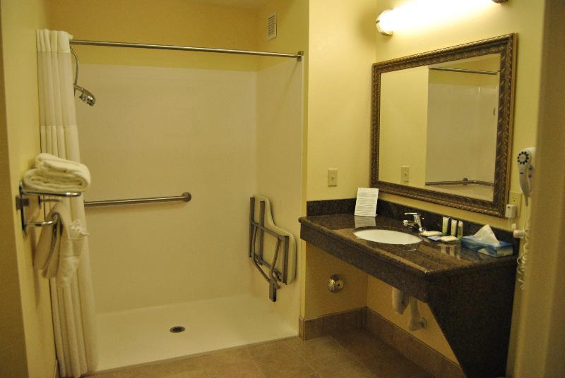 Staybridge Suites Lansing-Okemos photo 23