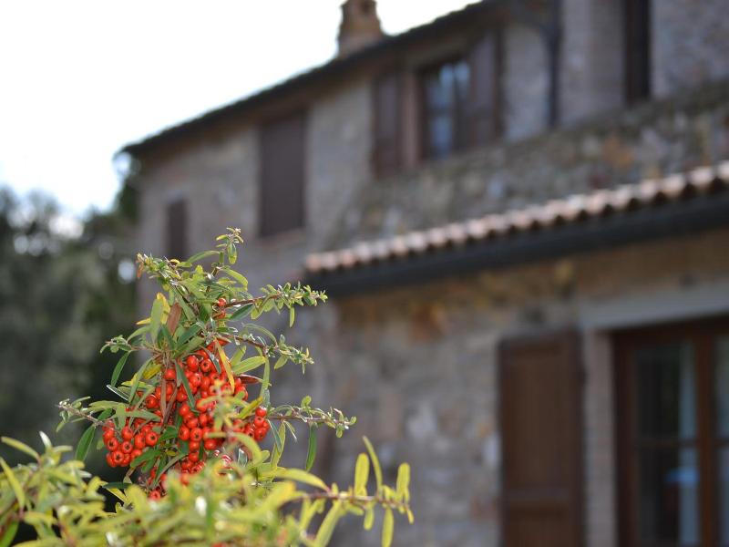 La Casaccia image