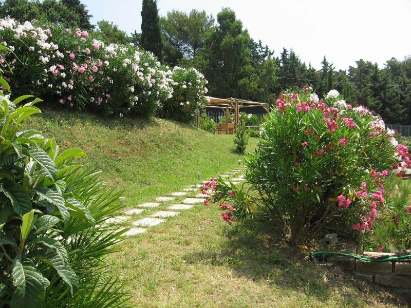 La Casaccia image