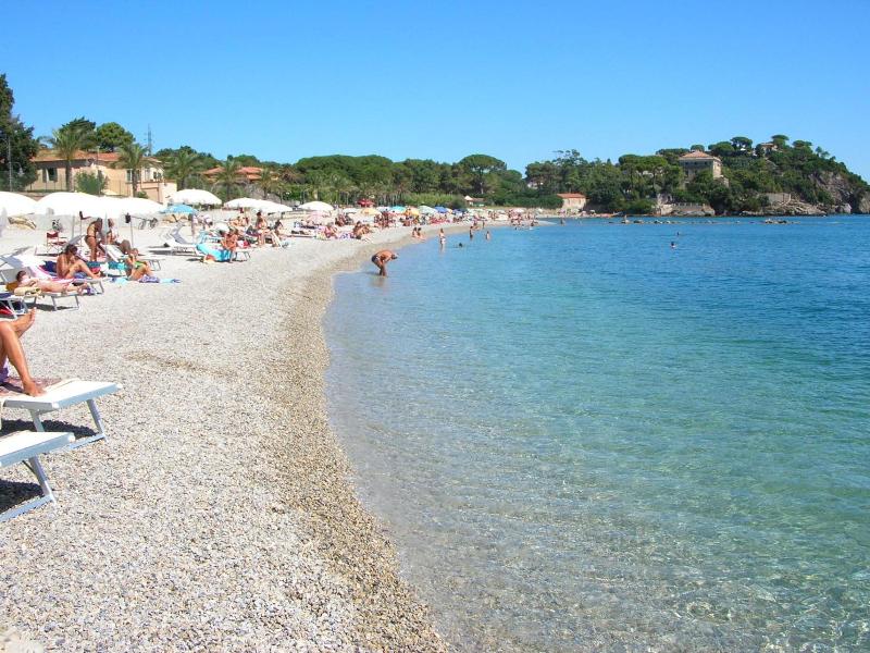 Marelba image