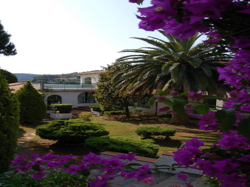 Marelba image