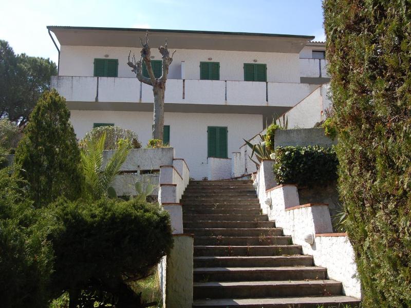 Marelba image