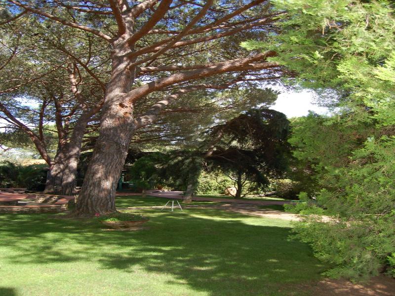 Marelba image