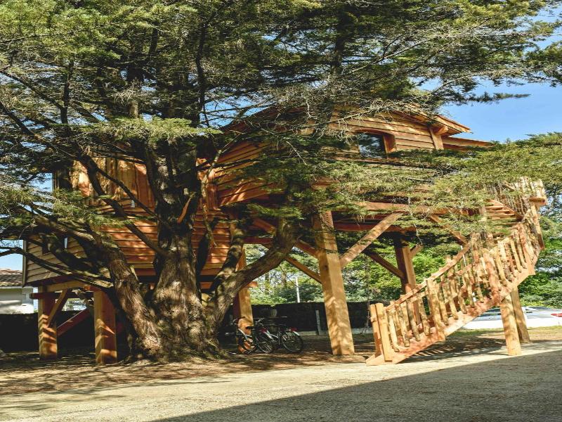 Logis Hôtel Emeraude des Bois image