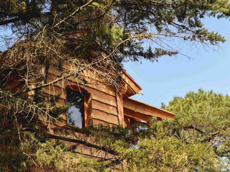 Logis Hôtel Emeraude des Bois image