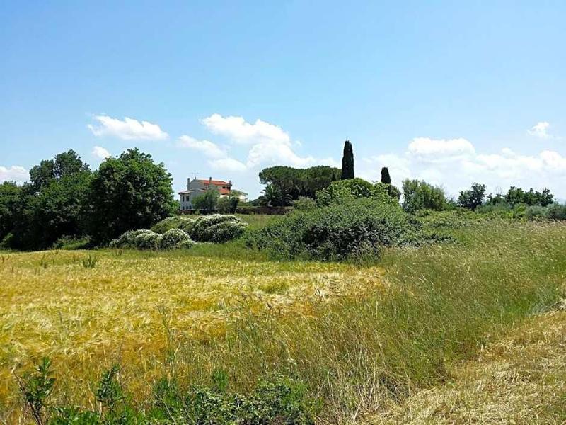 Villa Lavinia image