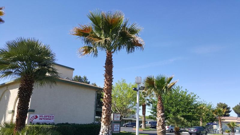 Town House Motel image