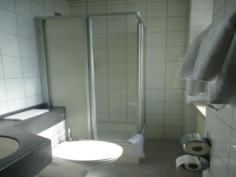 Schweizer Hof image