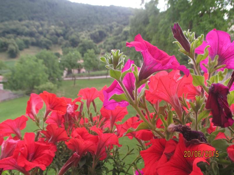 Hotel Montebaldina image