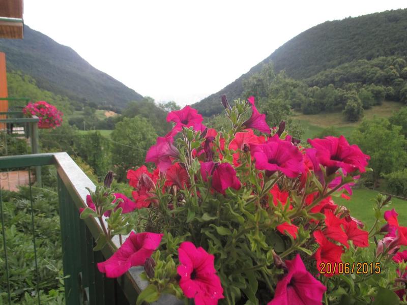 Hotel Montebaldina image