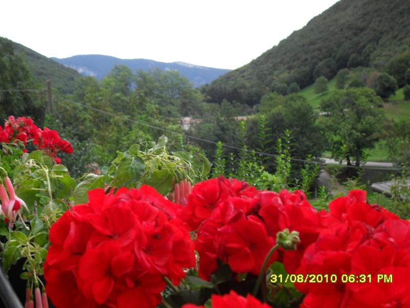 Hotel Montebaldina image