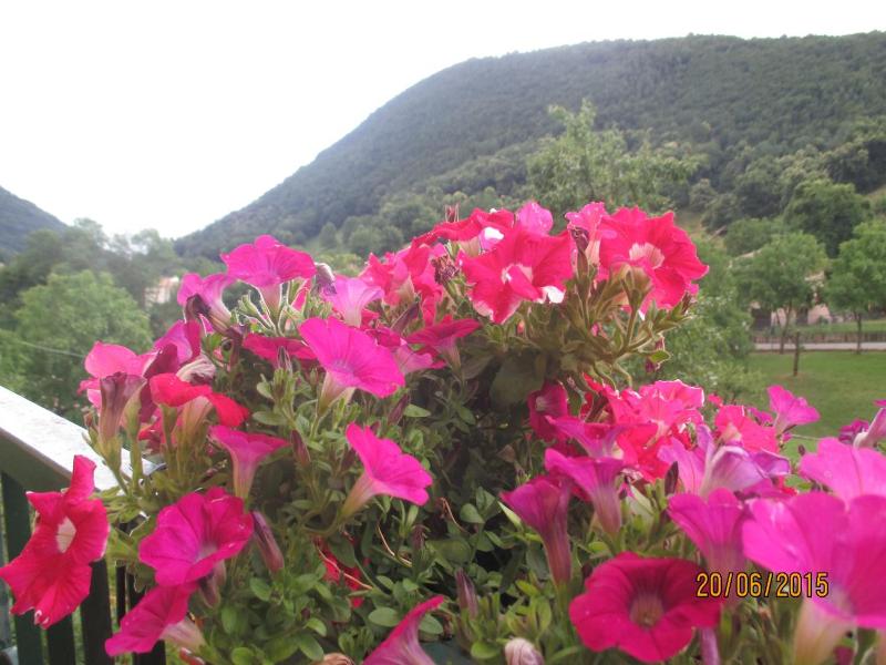 Hotel Montebaldina image