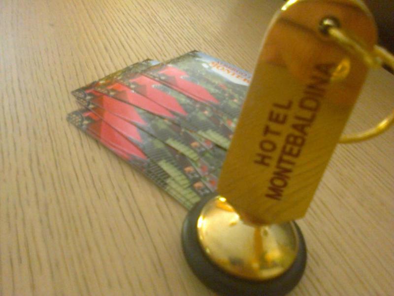 Hotel Montebaldina image