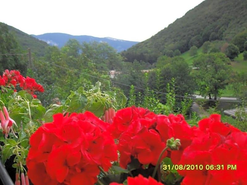 Hotel Montebaldina image