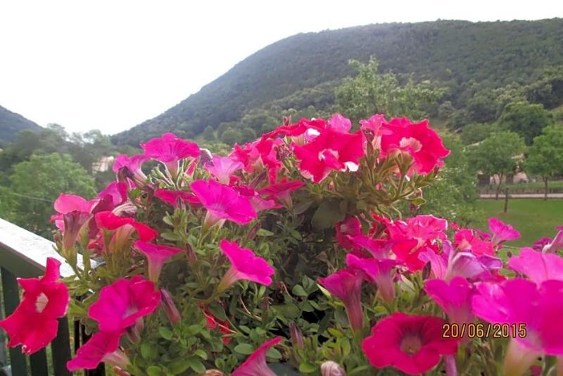 Hotel Montebaldina image
