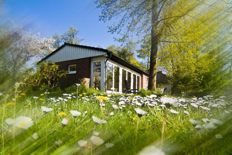 Wassermühle Heiligenthal image