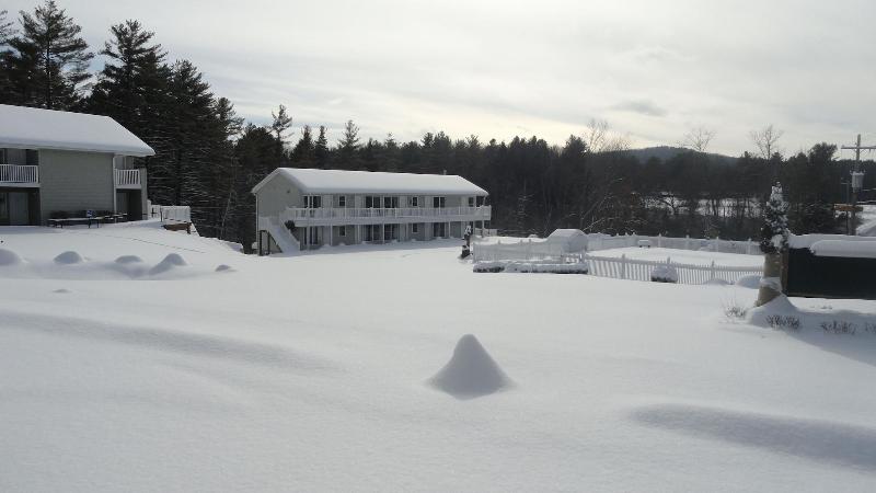 Studio Motel image