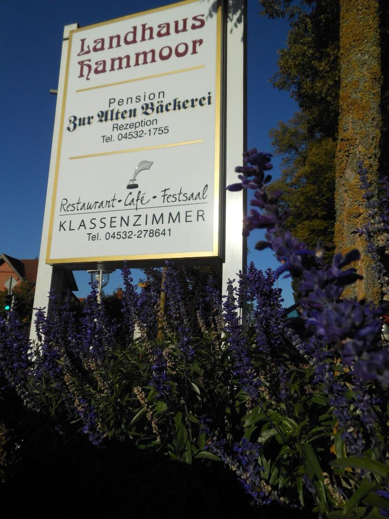 Landhaus Hammoor image