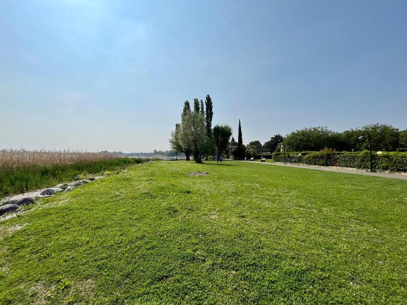 Virgilio image