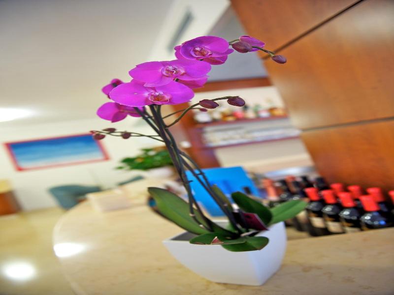 Garni Orchidea image
