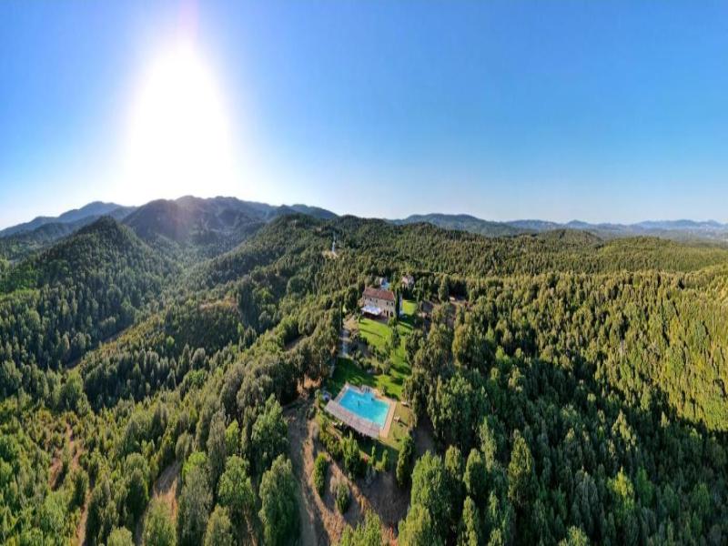 Tenuta di Seripa image
