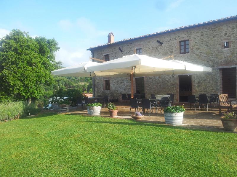 Tenuta di Seripa image