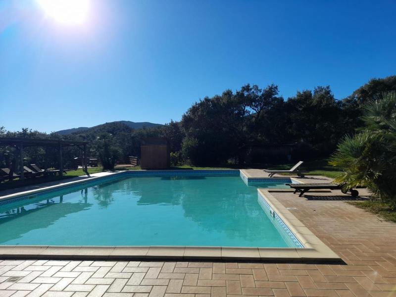 Tenuta di Seripa image