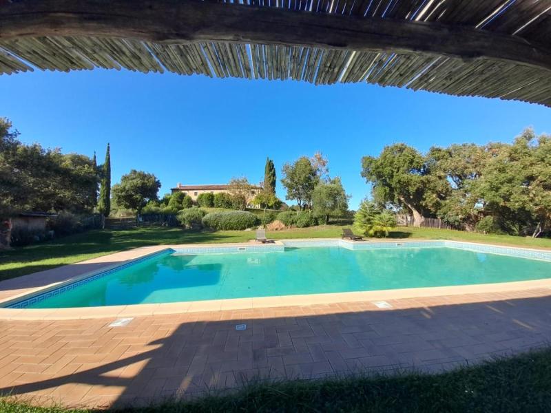Tenuta di Seripa image