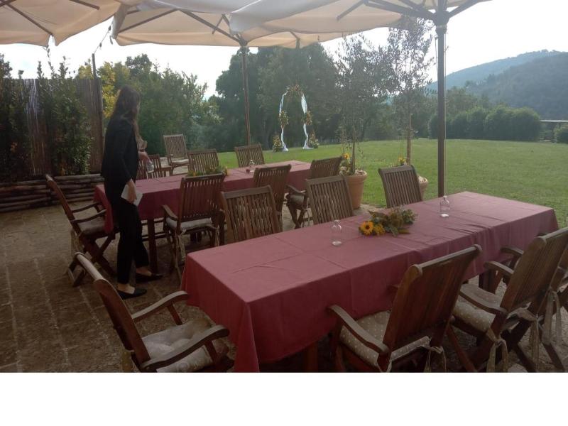 Tenuta di Seripa image