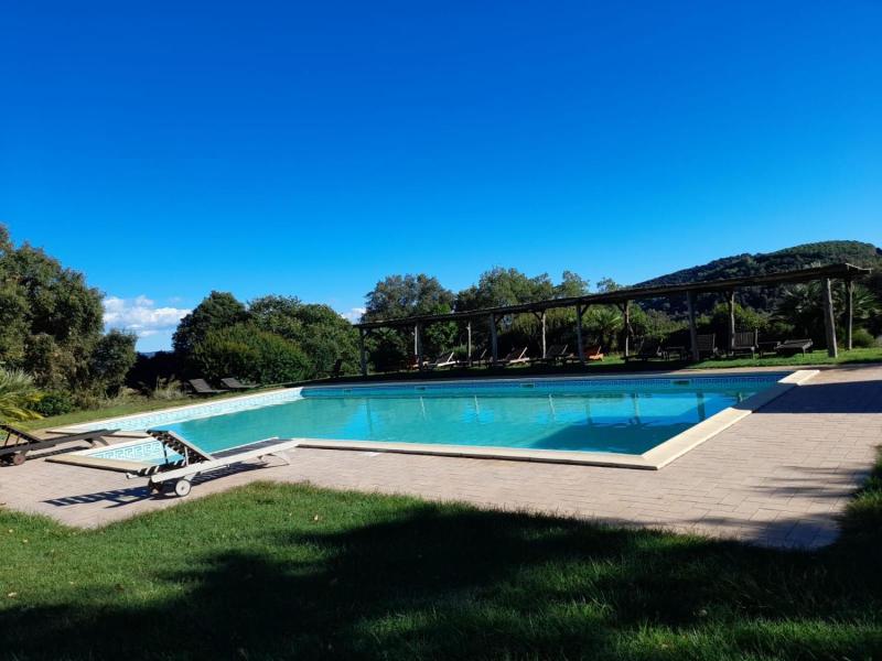 Tenuta di Seripa image