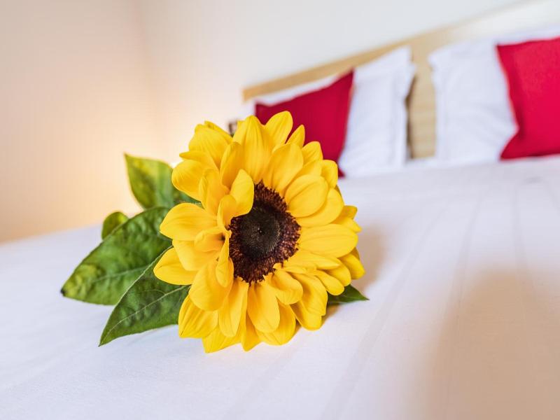 Residence Nuove Terme image