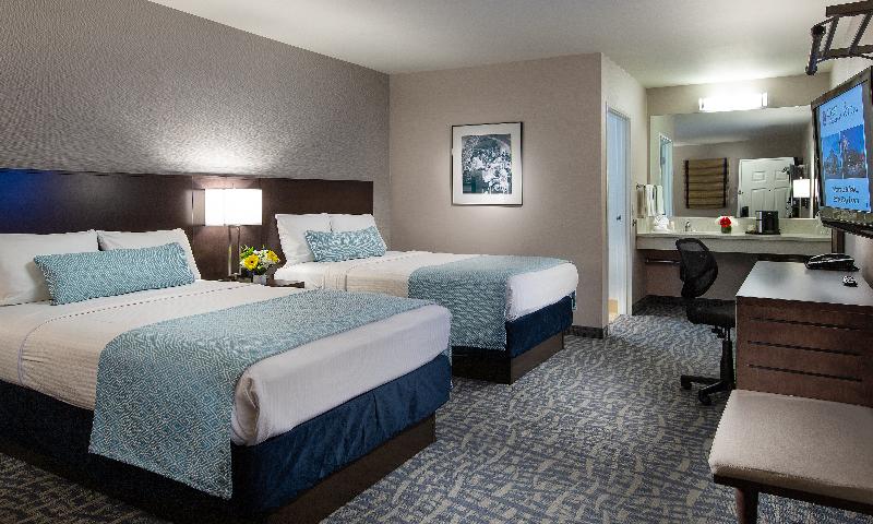 Safari Inn image