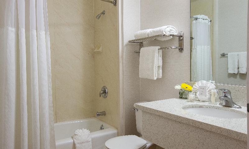 Safari Inn image