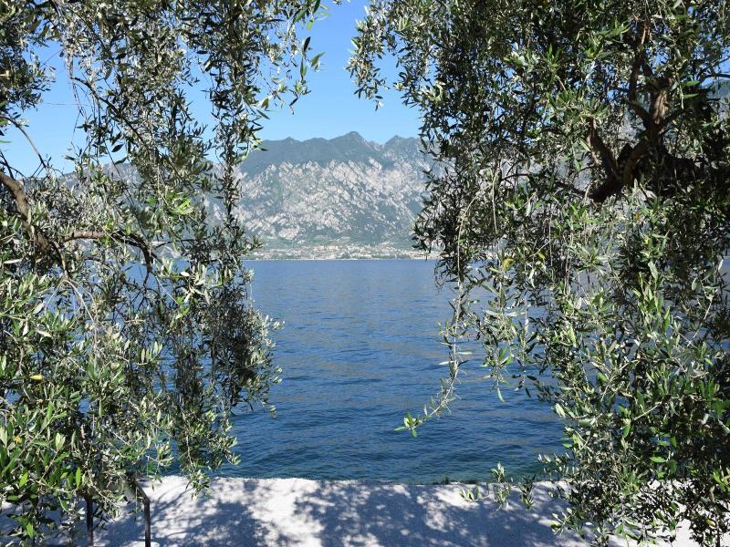 Hotel Vela Azzurra image