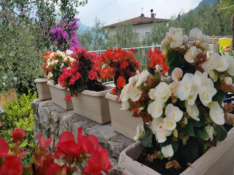 Augusta Garni image