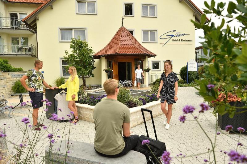 Gierer image