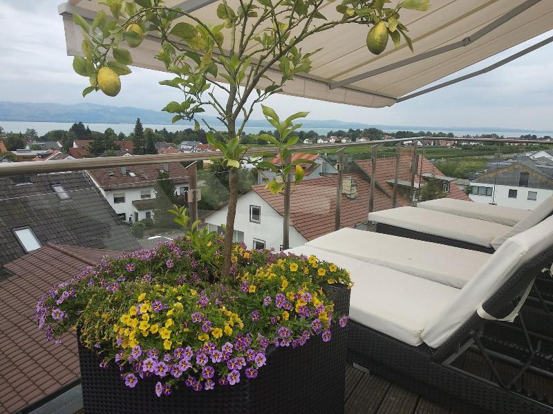 Gierer image