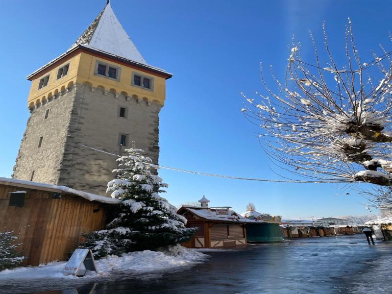 Schreier am See image