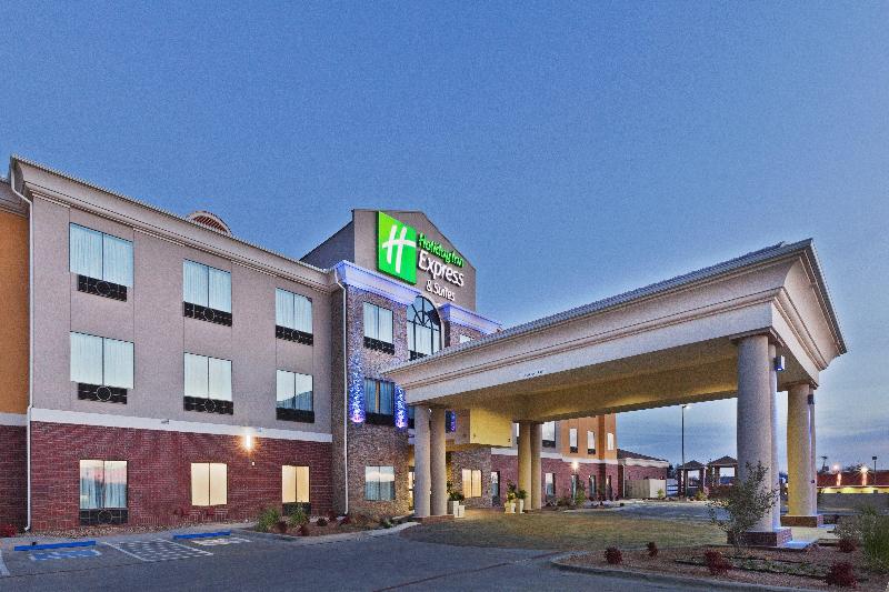 Hotel Holiday Inn Express Hotel & Suites Brownfield