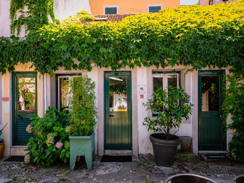 Casa do Patio by Shiadu image